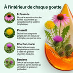 Gouttes| Drainage Lymphatique
