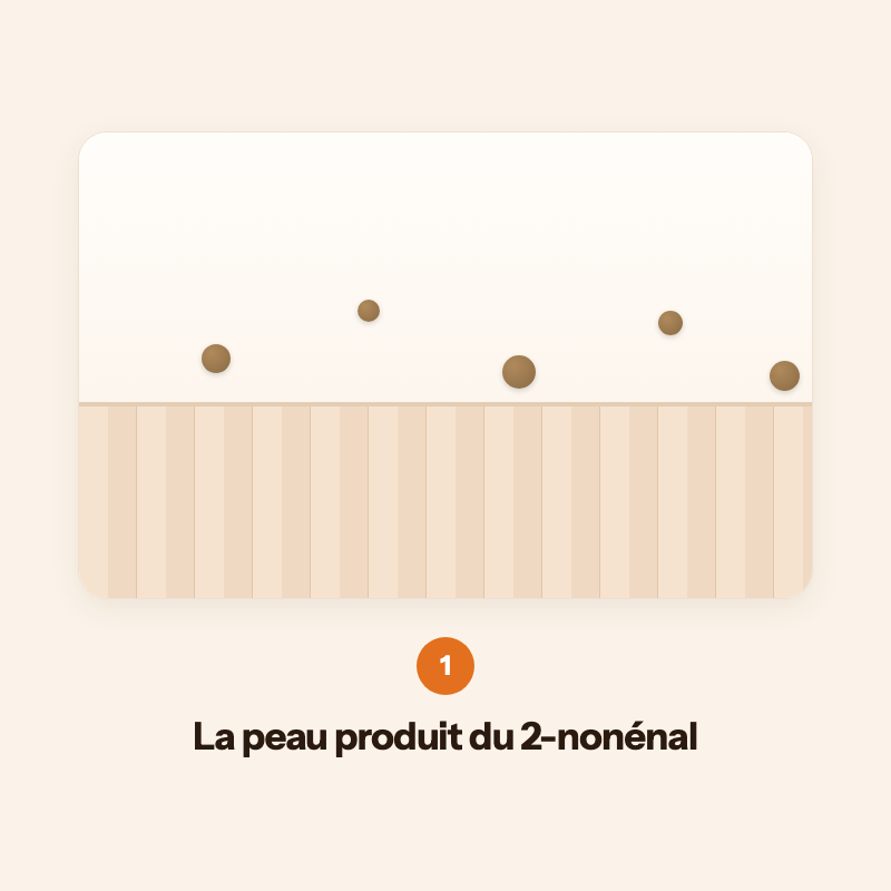Le nonénal, en
